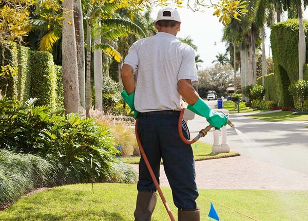 About Onarga IL Pest Control